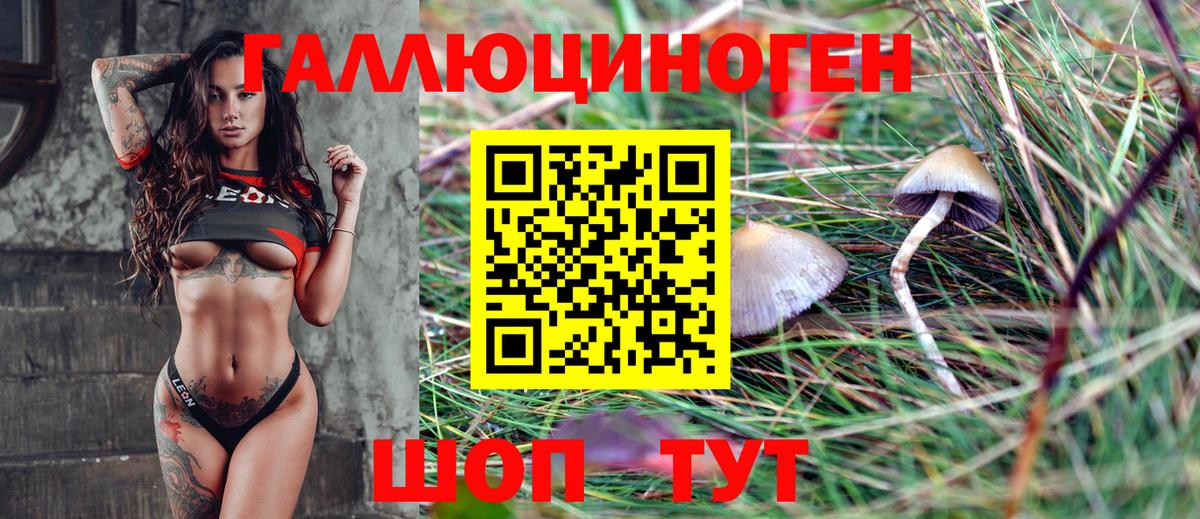 Кокаин  ЭКСТАЗИ  Сыктывкар  Вход с VPN  АМФЕТАМИН кристаллы  Меф МЯУ МЯУ   Меф  Марихуана  Кетамин 