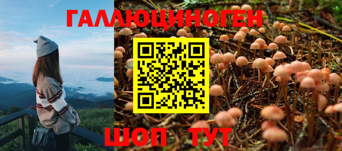 Псилоцибиновые грибы ЛСД Сыктывкар