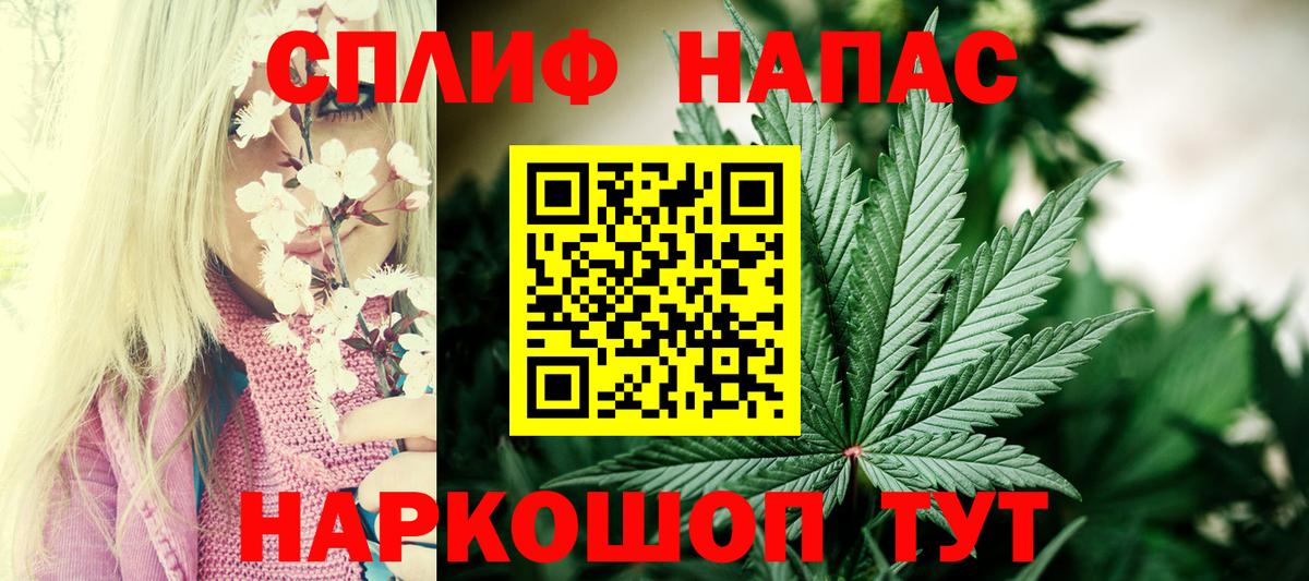 Бошки Шишки план Сыктывкар